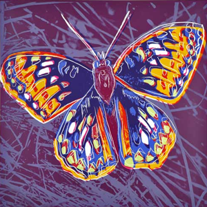 andy warhol butterfly